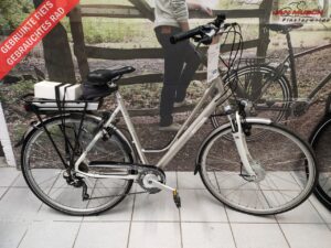 Multicycle
  Elegance-Sef 10V E-Bike