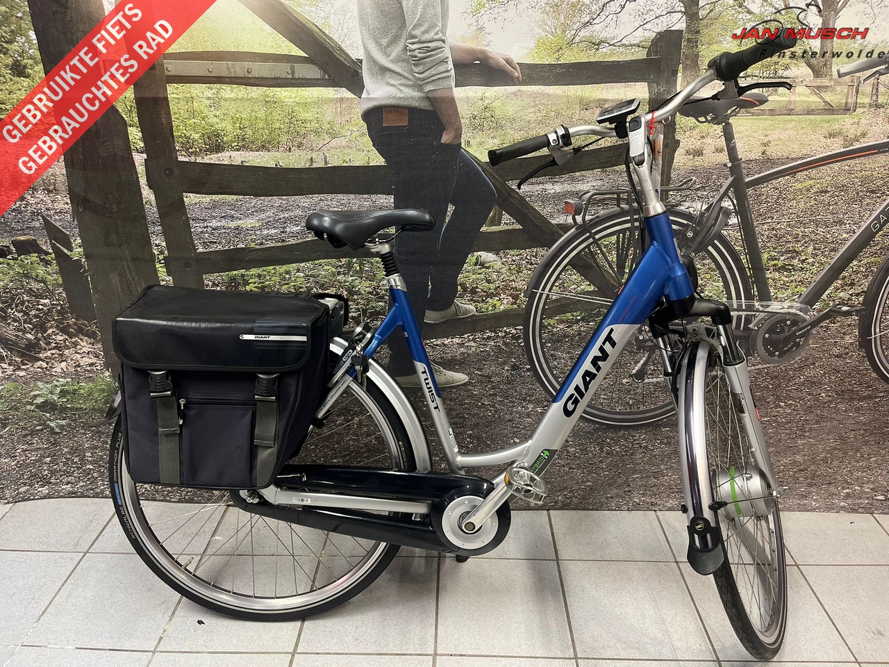 Giant Twist Go Double 8V E-Bike