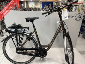 Multicycle Expressive-Sef 10V Incl. Nw Accu E-Bike
