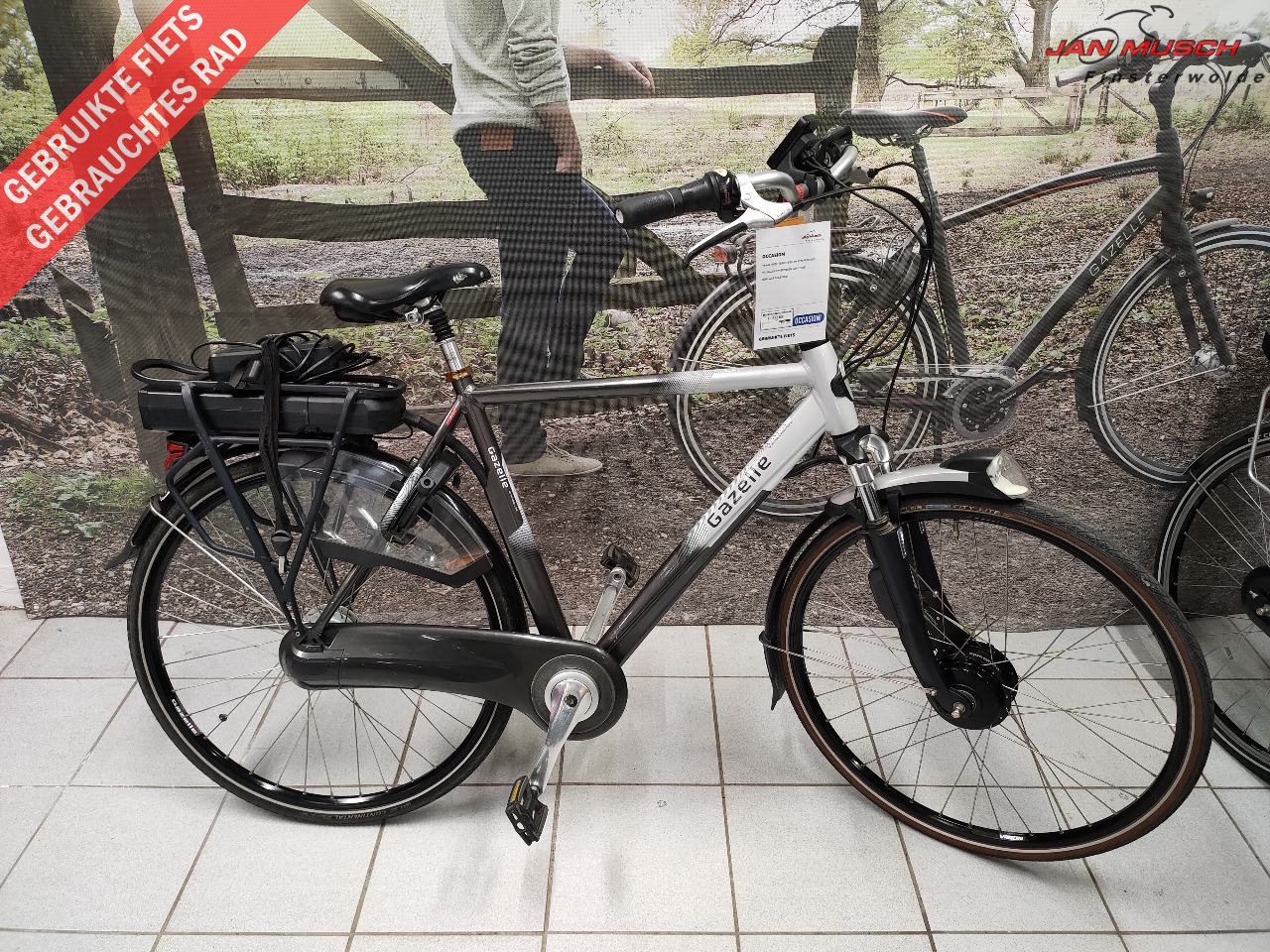 Gazelle Orange C8 8v
