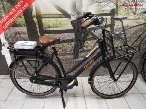 Gazelle Miss Grace 7v
